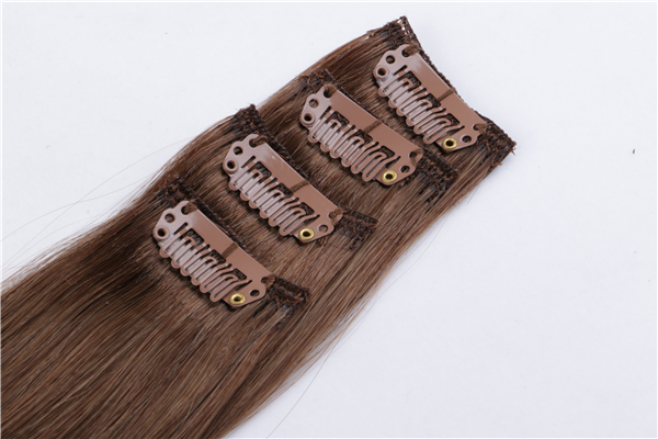 Clip in Human Hair Extensions 300g JF025